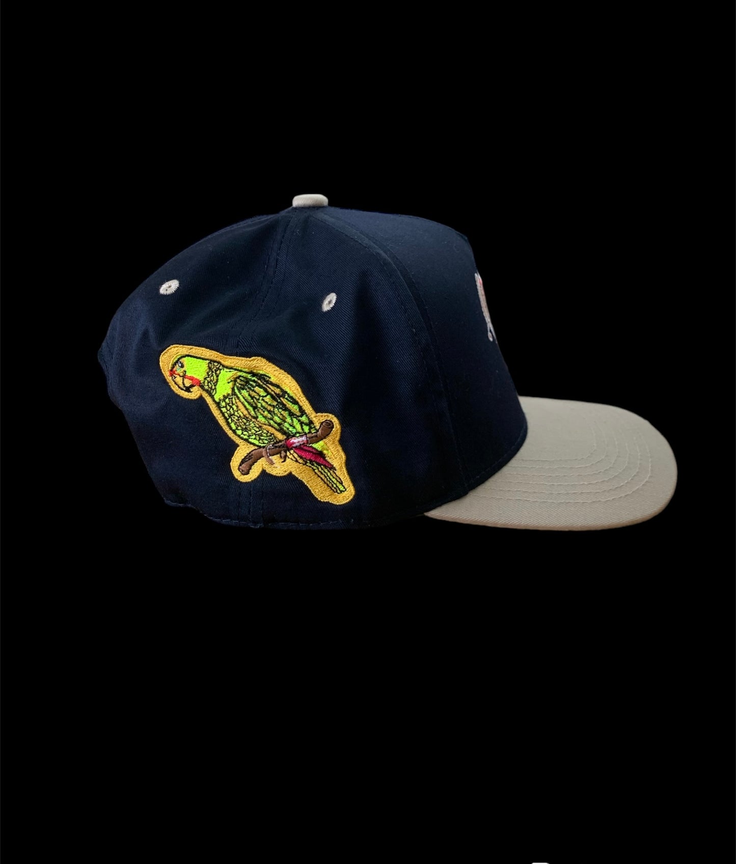 COQUI/ COTORRA SNAPBACK