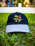 GORRA DEL CAFE DAD CAP