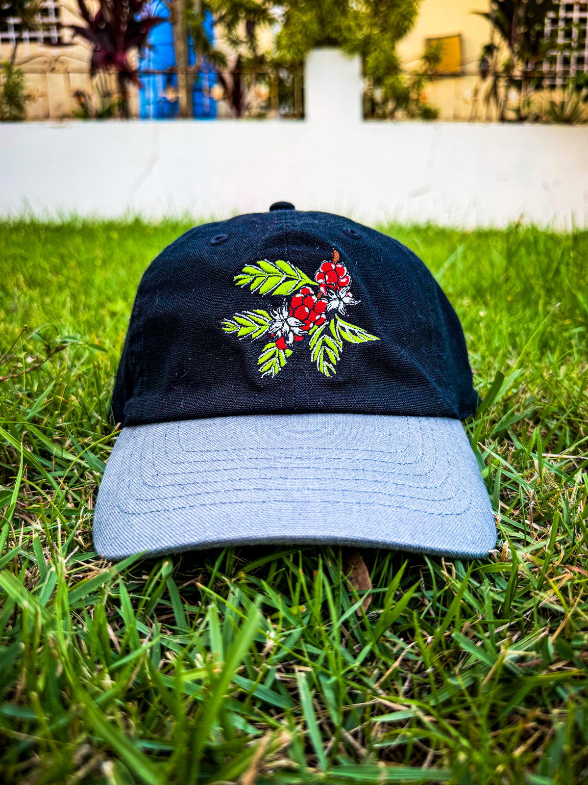 GORRA DEL CAFE DAD CAP