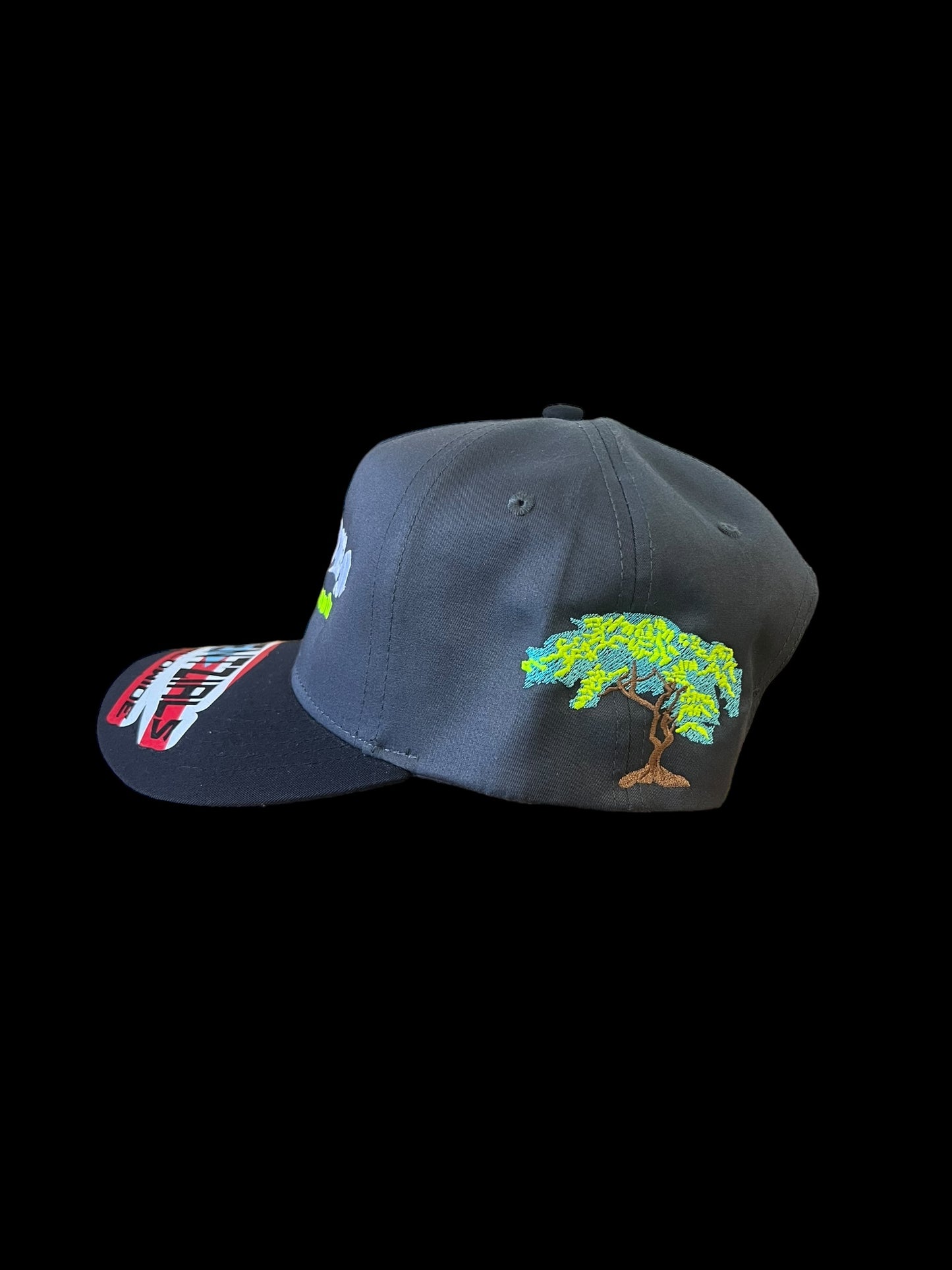 BORIKÉN/FLAMBOYAN/ GALLO E PELEA SNAPBACK