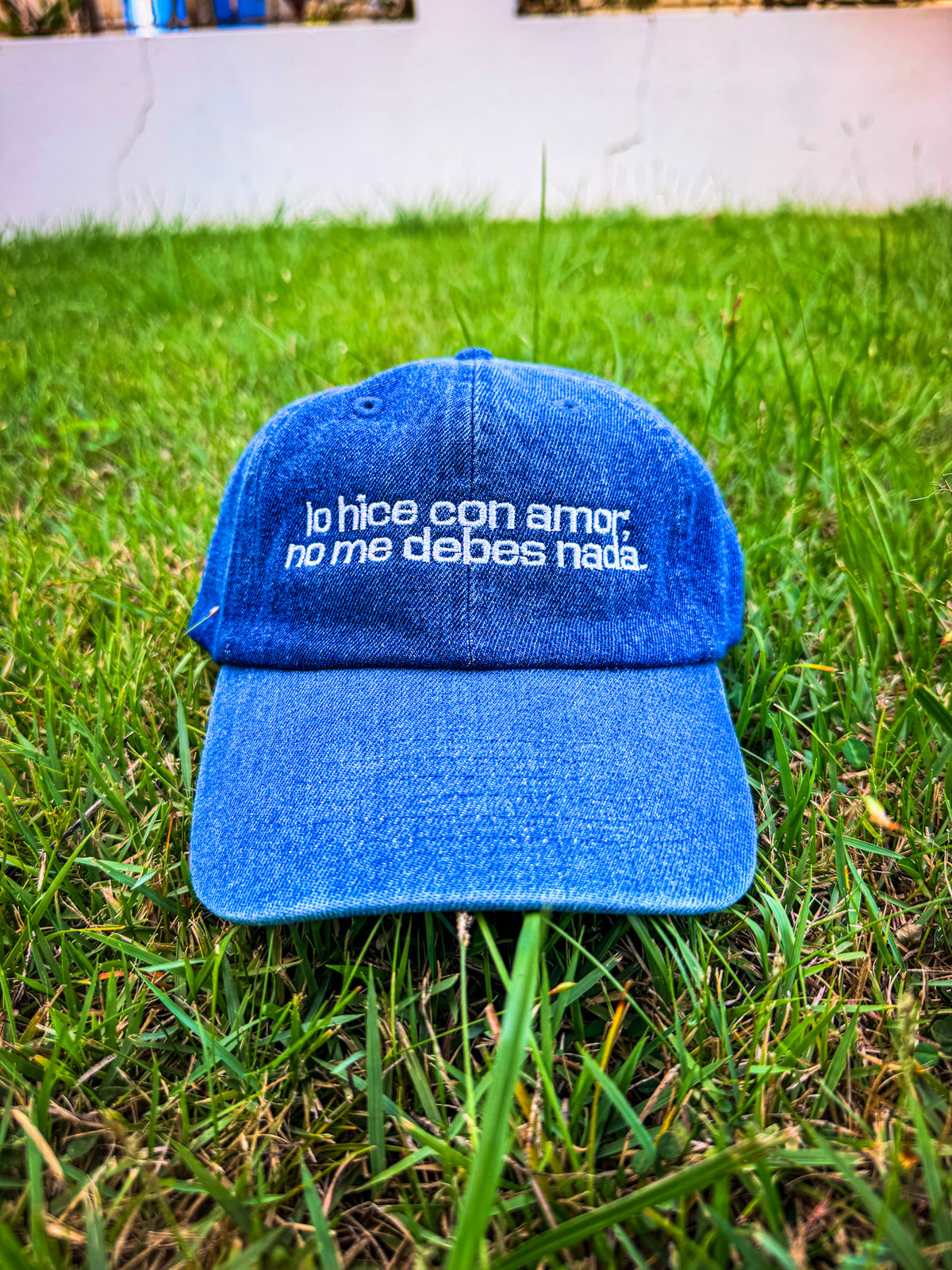LO HICE CON AMOR CAP